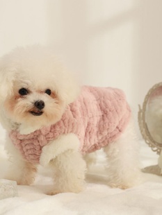 小狗冬天穿的宠物狗衣服冬季加厚加绒超小体狗狗幼狗衣服保暖可爱