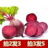 20現挖甜菜根1斤 特産紅菜頭紅甜菜農産品矩菜頭紫菾菜火焰菜涼拌 20現挖甜菜根1斤 特産紅菜頭紅甜菜農産品矩菜頭紫菾菜火焰菜涼拌