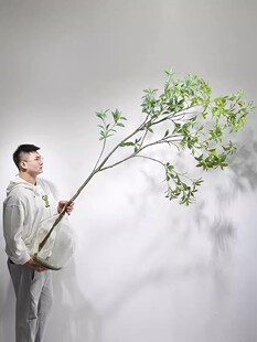 仿真绿植马醉木轻奢假植物室内客厅服装店橱窗落地摆件吊钟装饰