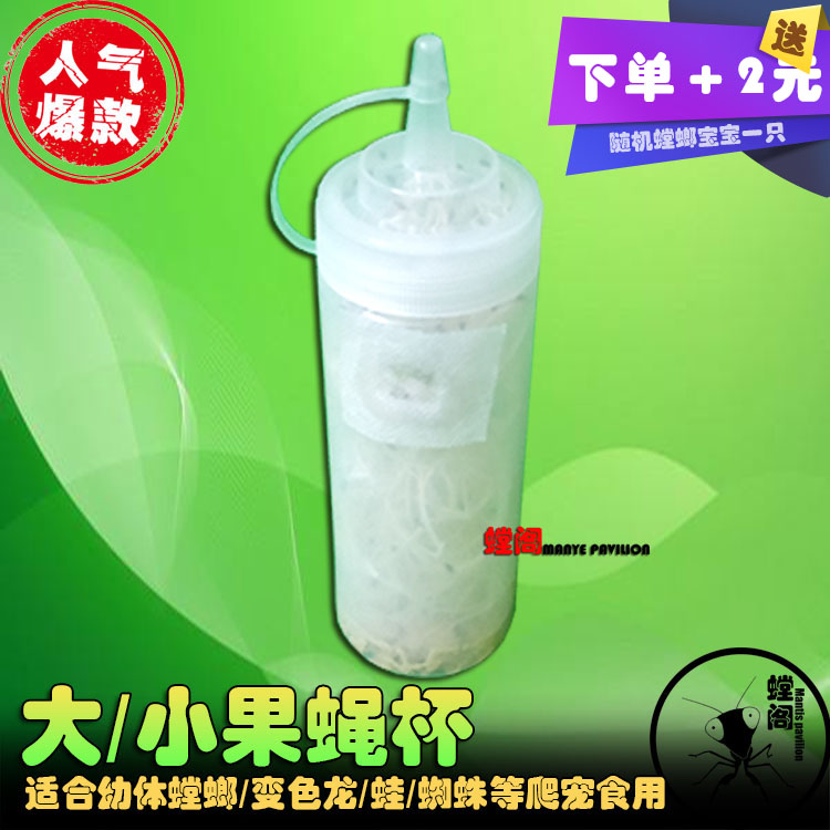 果蠅杯果蠅活體殘翅大果蠅杯無翅小果蠅杯實驗蠅角蛙蜘蛛螳螂飼料在類目 寵物/寵物食品及用品, 爬蟲/鳴蟲及其用品, 其他爬蟲/鳴蟲中 - 來自Buy2taobao.com提供專業的淘寶代購服務