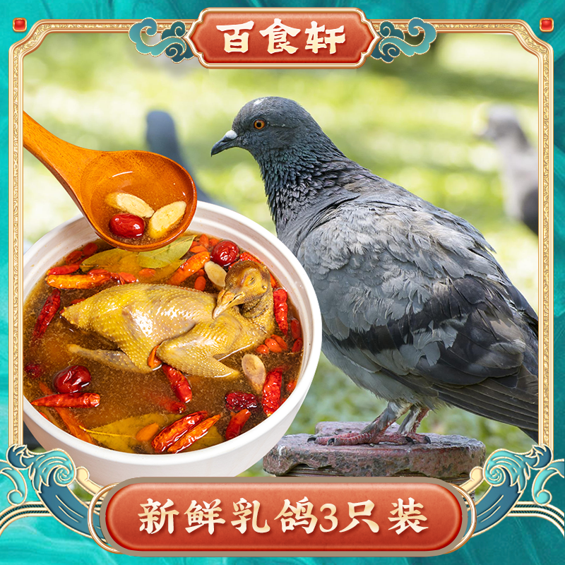 鸽子百食新鲜3只乳鸽农家活体体现生鲜乳鸽