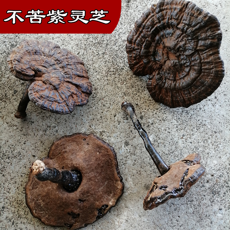 特价灵芝粉 野生_紫灵芝 林下紫芝 带粉整枝灵芝泡酒仿野生黑灵芝