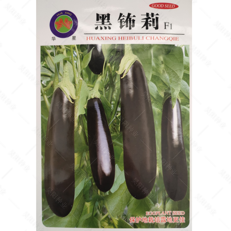 寿光黑钸莉茄长茄子种子绿萼黑皮绿把黑皮绿色肉高产四季栽培
