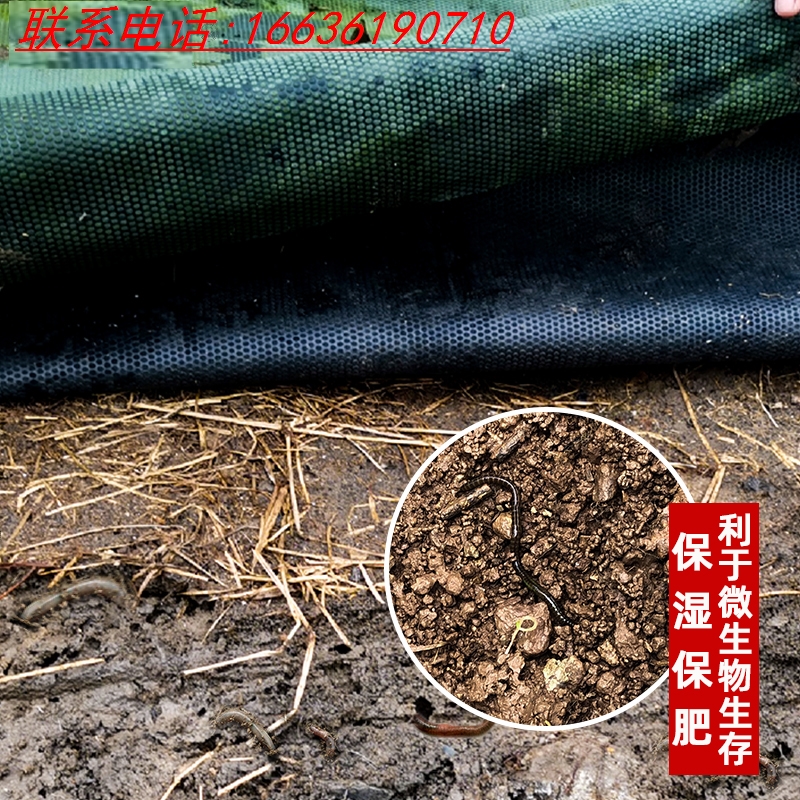 防草布厂家直销农用地膜果园抑草透气菜地遮草布火龙果别墅种植