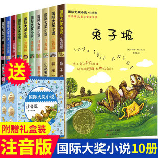 国际大奖小说注音版第一辑全套10册 亲爱的汉修先生兔子坡一百条裙子 小学生课外阅读书籍6-7-8-9-12周岁带拼音儿童文学故事书籍XL