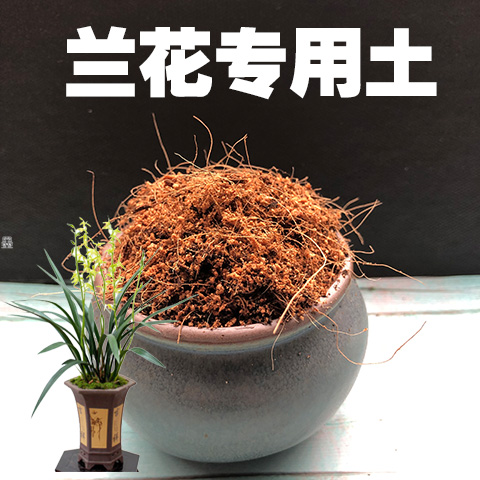 兰花专用土兰花盆栽土家用营养土酸性沙质椰糠泥碳土绿植种植肥料