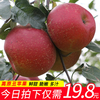 新鲜云南冰糖心现摘5斤小野苹果