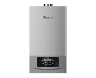 Rinnai/林内RBS-24G56家用燃气采暖炉热水两用壁挂炉地暖恒温节能