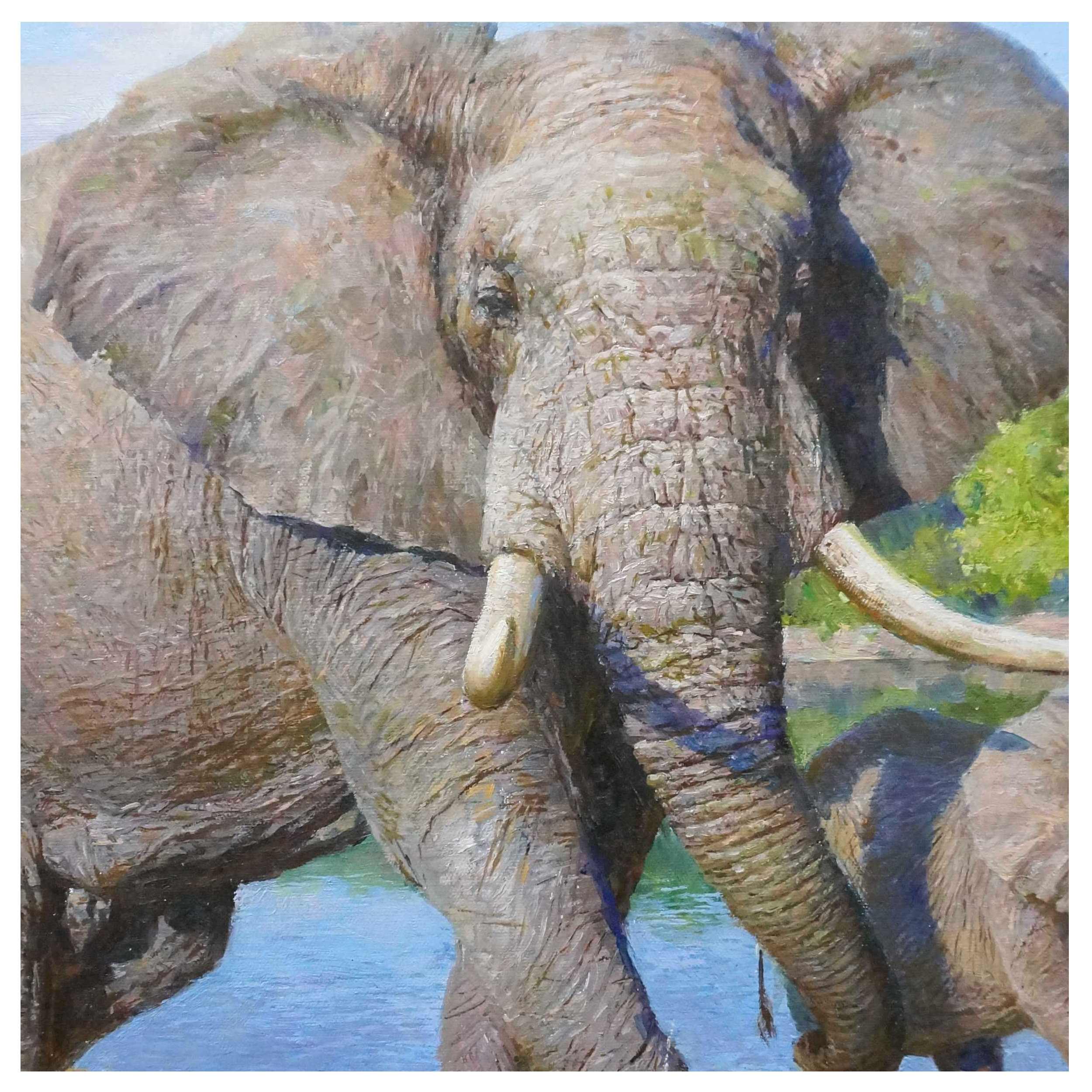 (朝鲜)功勋艺术家 金根峰《大象》万寿台美术创作社 星朝画廊