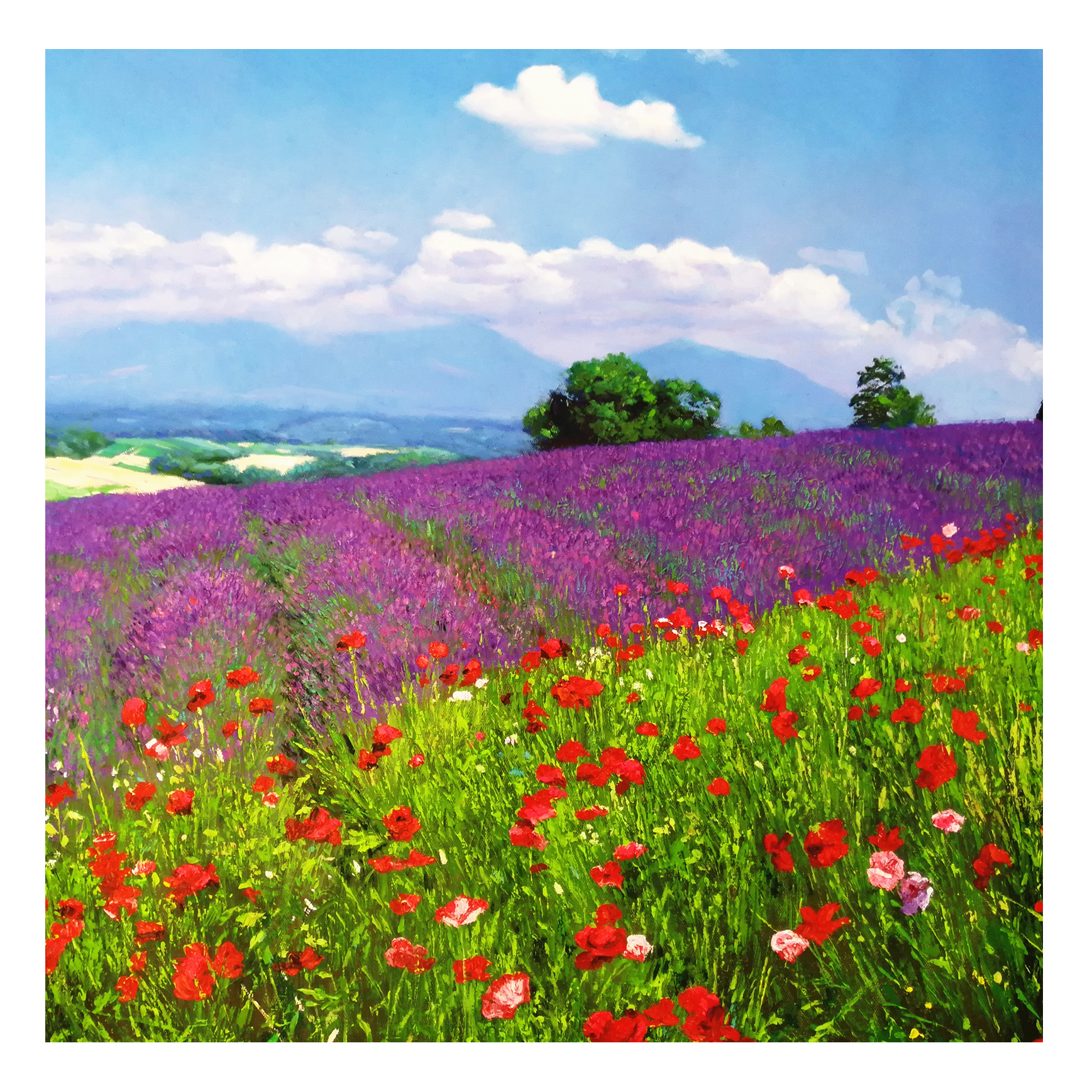 (朝鲜)功勋画家 李光源《无边花海》白虎美术创作社 星朝画廊