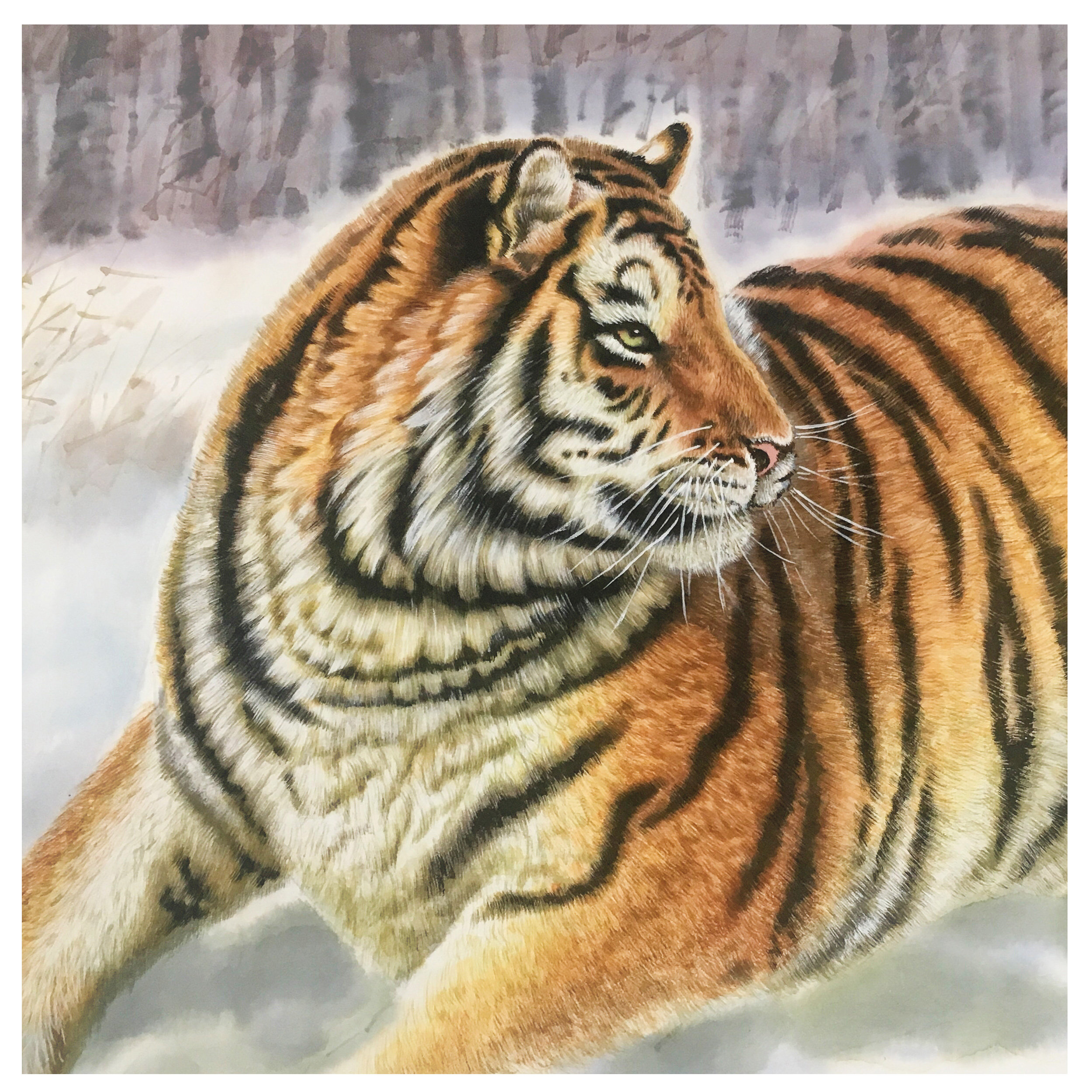 (朝鲜)鲜浩 《老虎》万寿台美术创作社 星朝画廊