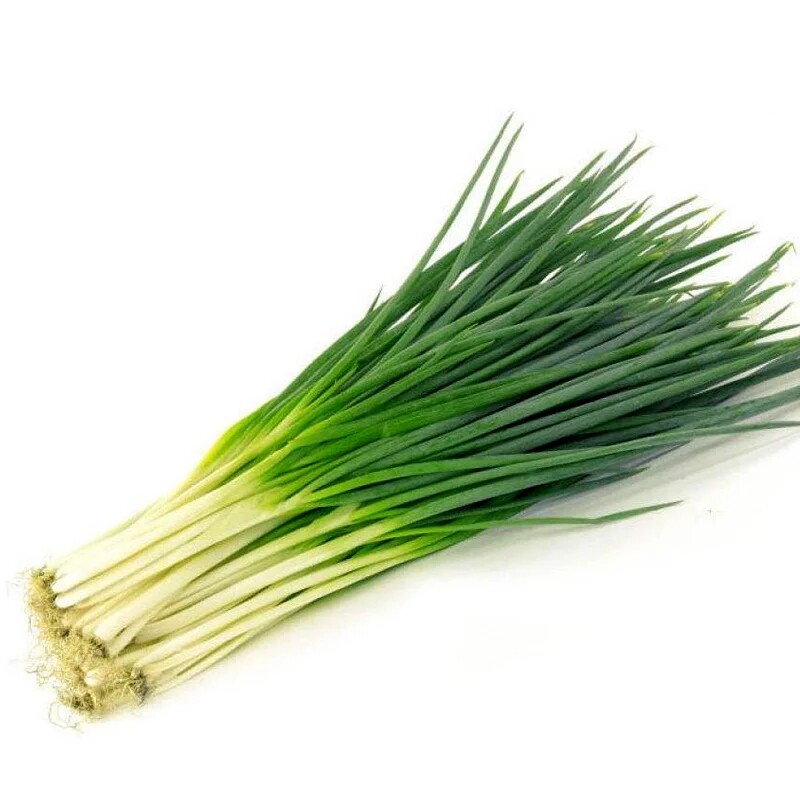 热销小香葱_小香葱种子 可四季种植蔬菜种子 散装小葱籽 盆栽易种耐寒