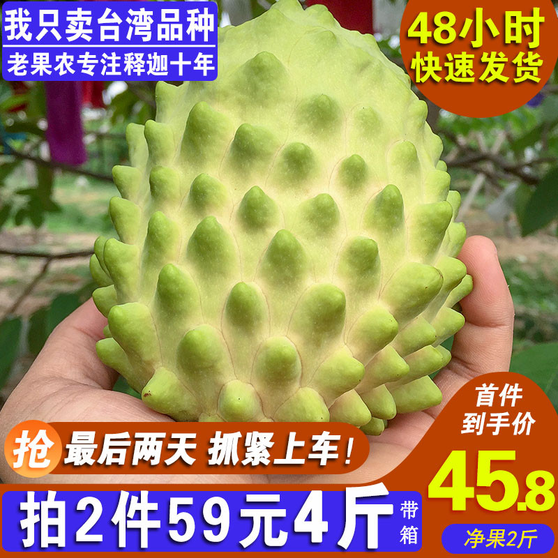 台湾凤梨释迦果释迦水果新鲜番荔枝佛头水果牛奶摩尼果整箱包邮5在类目 水产肉类/新鲜蔬果/熟食, 新鲜水果, 番荔枝/释迦中 - 来自Buy2taobao.com提供专业的淘宝代购服务