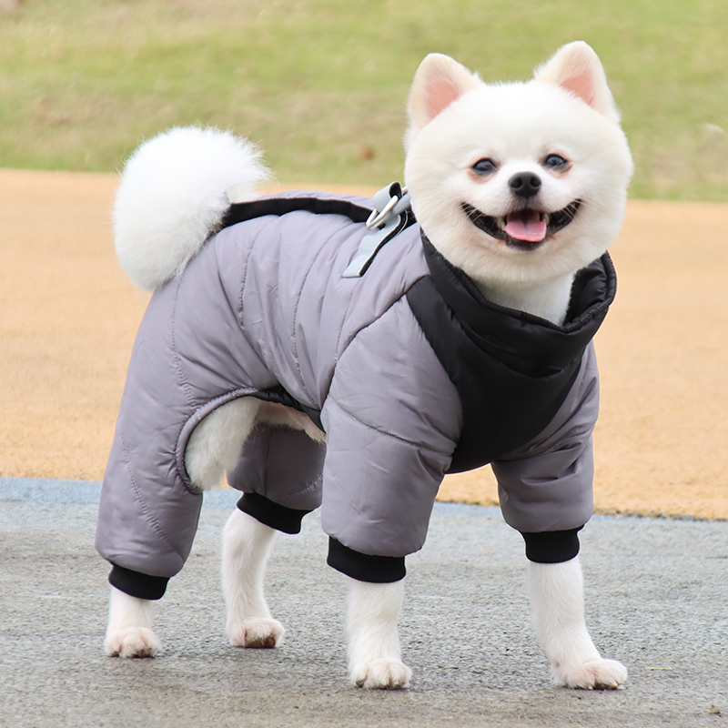 狗狗泰迪小型犬羽绒服优惠专场