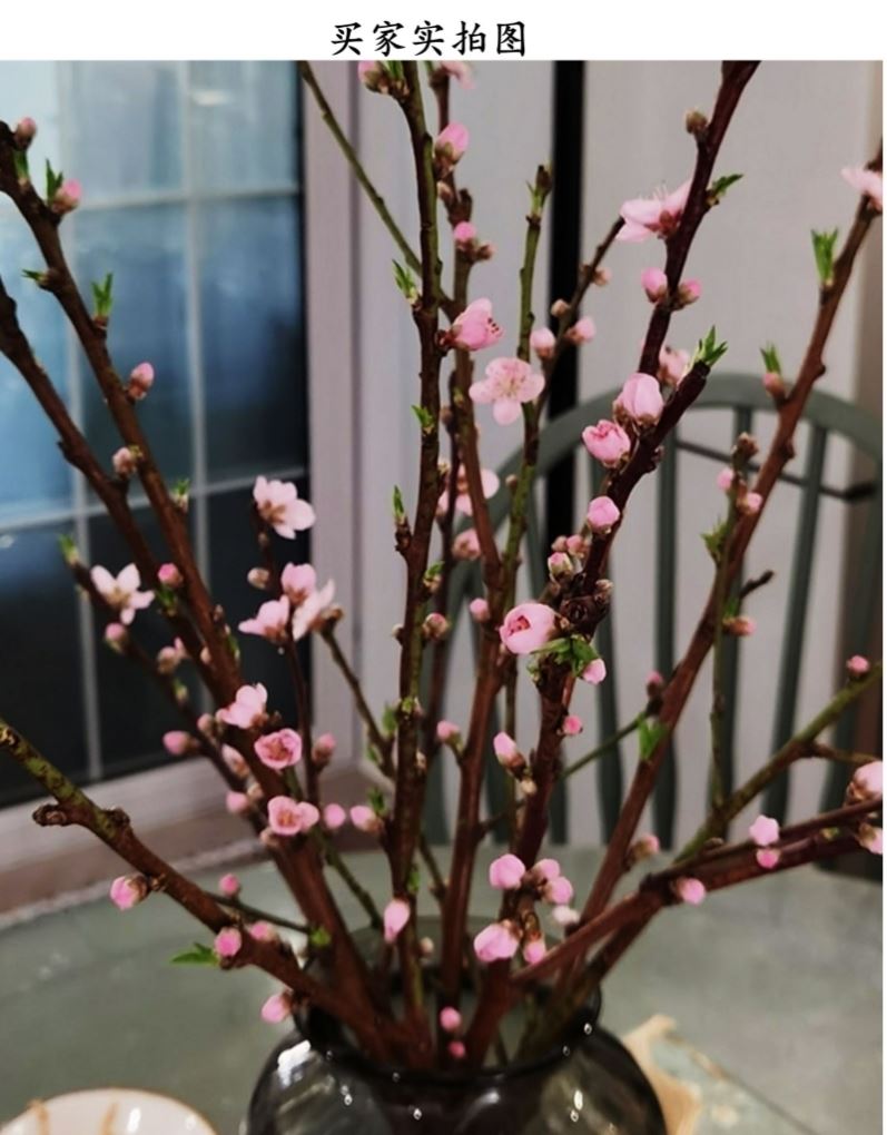 桃花手工干枝装饰干树枝开花干树枝桃木枝—干花/花瓣/干花包/干树枝