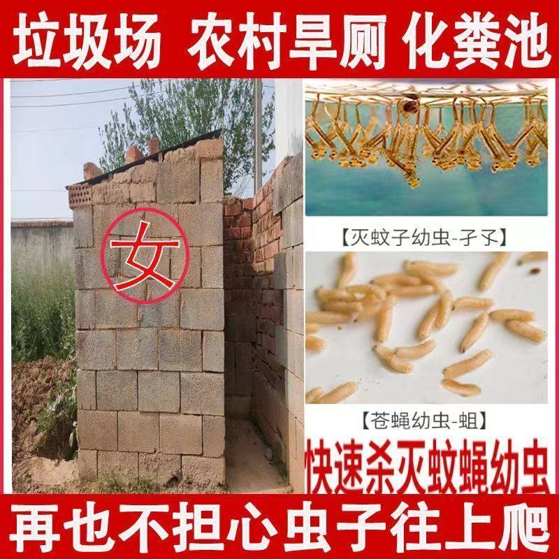 杀蛆药灭蛆虫农村厕所除蛆药旱厕粪池茅厕灭蛆灵药蚊子幼虫杀虫剂