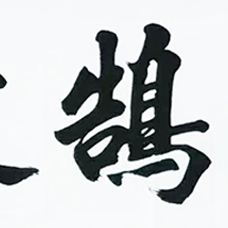 赵泓锦《鸿鹄之志》 北京仁和苑特邀书法家