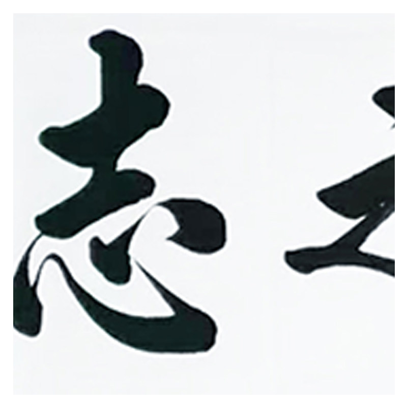 赵泓锦《鸿鹄之志》 北京仁和苑特邀书法家