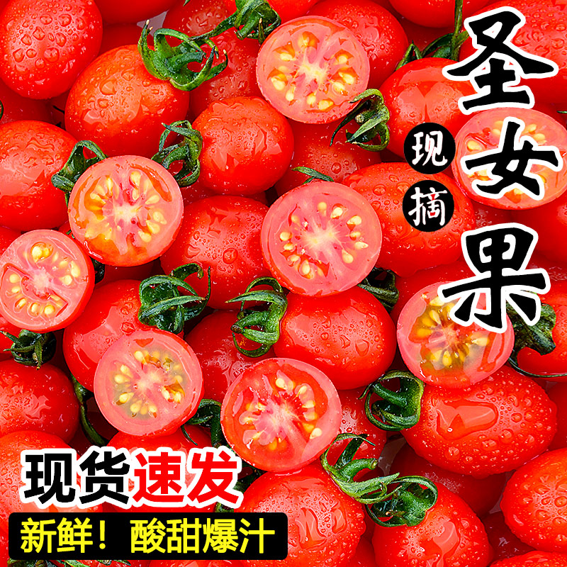 新鲜圣女果小番茄水果当季蔬菜生吃自