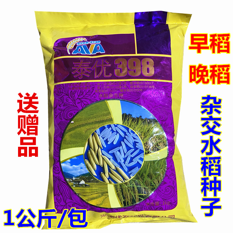 泰优398早稻晚稻杂交水稻种子优质谷种直播稻长粒米种子1公斤装