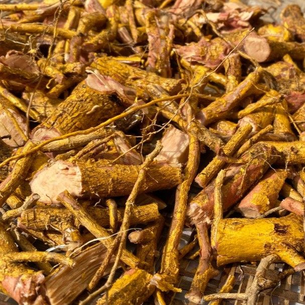 广西昭平七冲瑶 深山黄皮土杜仲 野生山杜仲纯根 炖汤泡酒 250g