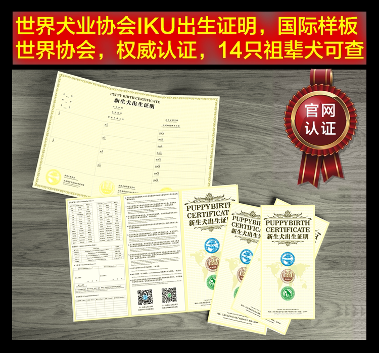 热销狗纸_血统狗证书 纯种宠物幼犬出生纸证明 官网父母可查 包邮保真