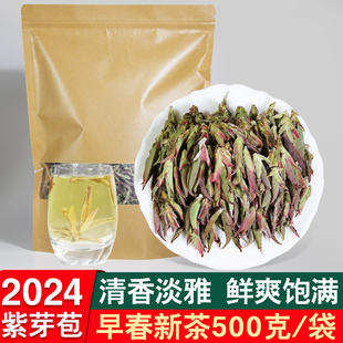 2024新茶叶紫芽苞茶500g袋装大雪山普洱茶生茶散茶特级老树早春茶
