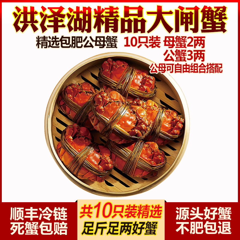 洪泽湖精品大闸蟹鲜活现货10只公母螃蟹海鲜水产清水湖蟹产地直销|msdalam kategori daging perikanan/Buah-buahan segar dan sayur-sayuran/dimasak, makanan laut/produk akuatik/produk, ketam, ketam - dari Buy2taobao.com untuk memberikan perkhidmatan ejen Taobao profesional membeli