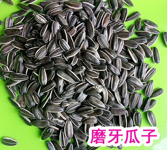 生瓜子葵花籽松鼠仓鼠磨牙零食主粮简装250g半斤装多买些爱吃|msdalam kategori haiwan peliharaan/makanan haiwan dan bekalan, hamsters kelas haiwan peliharaan dan lain-lain kecil, Feed/makanan ringan - dari Buy2taobao.com untuk memberikan perkhidmatan ejen Taobao profesional membeli