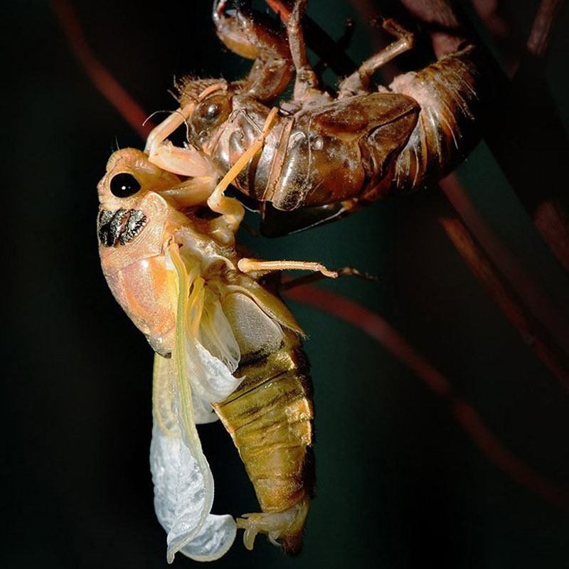 国内折扣热度排行榜