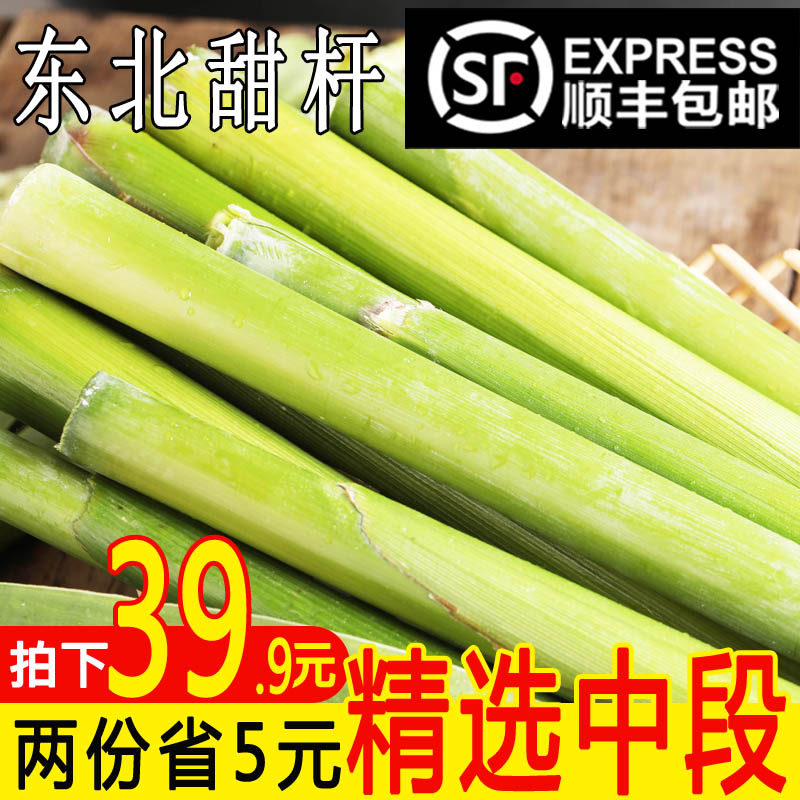 Shunfeng Northeast sorghum stalk Sugarcane 5 fresh fruit Sorgoin the Aquatic meat/Fresh fruits and vegetables/Cooked , Fresh fruit , Other category - from Buy2taobao.com to provide professional Taobao agent buy service