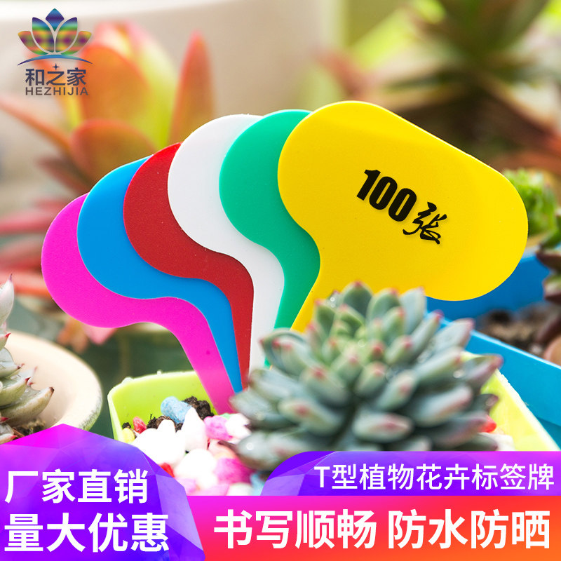 彩色多肉植物塑料t型花盆标签5x7cm园艺标签名称插地标签多肉工具