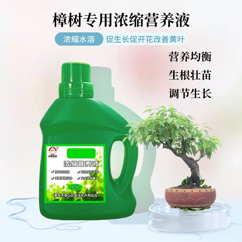 香樟树专用浓缩营养液驱蚊虫通用型家用盆景盆地栽绿植水溶性花肥