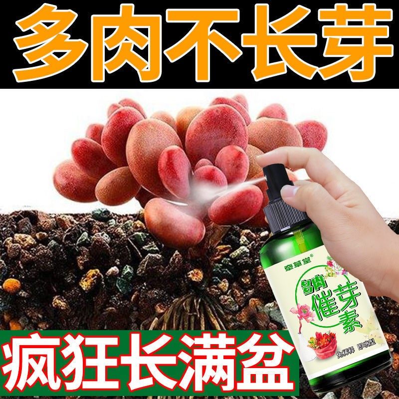 3瓶购多肉爆芽素催芽专用叶面增肥增色家用肥料免稀释直接喷