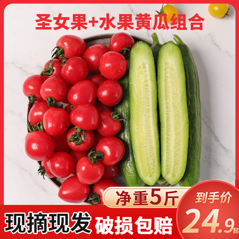 Cherry tomatoes tomato fresh Cucumber combination Farm plant fruit Millennium Small tomato 5in the Aquatic meat/Fresh fruits and vegetables/Cooked , Fresh vegetables/Vegetable products , Fresh vegetables , cucumber category - from Buy2taobao.com to provide professional Taobao agent buy service