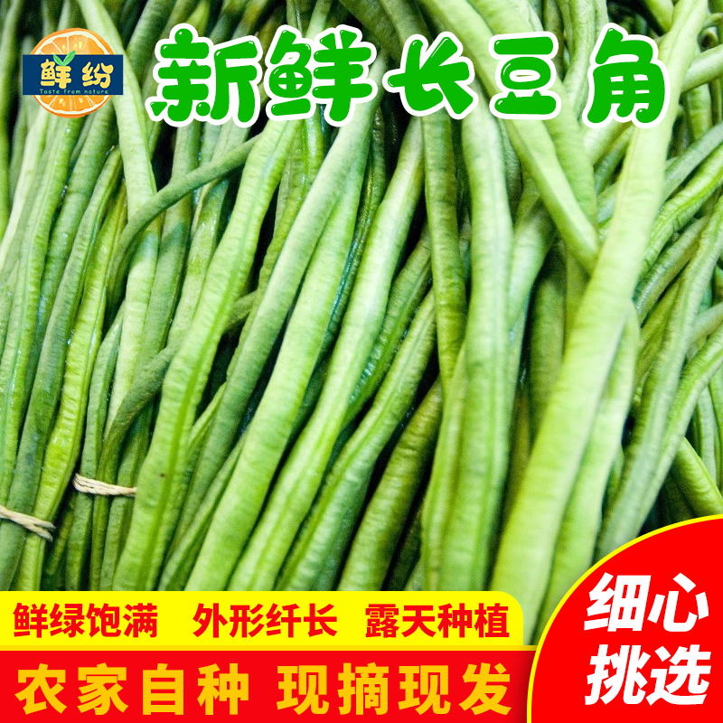 fresh Carob Cowpea Season Season Season Vegetables Farm Now pick Now send Open air plant Green beansin the Aquatic meat/Fresh fruits and vegetables/Cooked , Fresh vegetables/Vegetable products , Fresh vegetables , 新鲜豇豆 category - from Buy2taobao.com to provide professional Taobao agent buy service