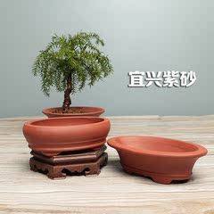 紫砂花盆 小盆景盆 精品手工微型椭圆形植物花盆 宜兴紫砂/长16cm