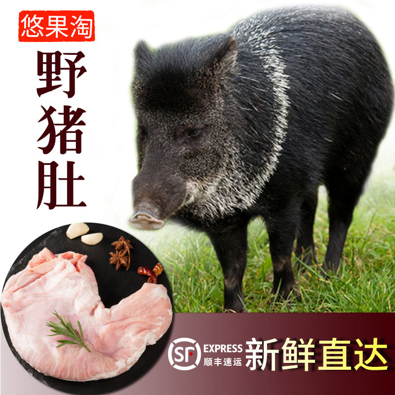 正宗新鲜野猪肚山猪肚子纯正新鲜猪肚养胃圣品教做法自己加工包邮