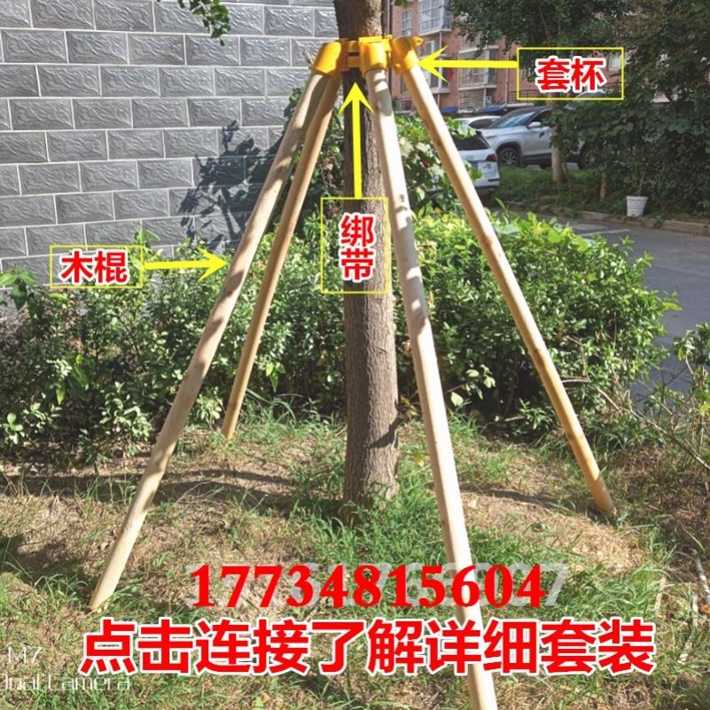 景观树苗小树苗木桩种树绑扎带果树苗木支撑架乔木防风固定器加固|ruв категории доставка цветов/цветок моделирования/растения садоводства, садовых принадлежностей, других садовых принадлежностей - от Buy2taobao.com для оказания профессиональной услуги покупки агента Taobao