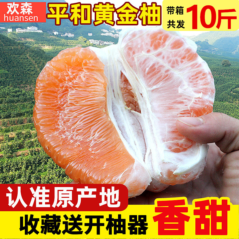 新鮮平和管溪柚子水果10斤老樹黃金柚福建黃肉蜜柚非紅心西柚包郵在類目 水產肉類/新鮮蔬果/熟食, 新鮮水果, 柚子中 - 來自Buy2taobao.com提供專業的淘寶代購服務