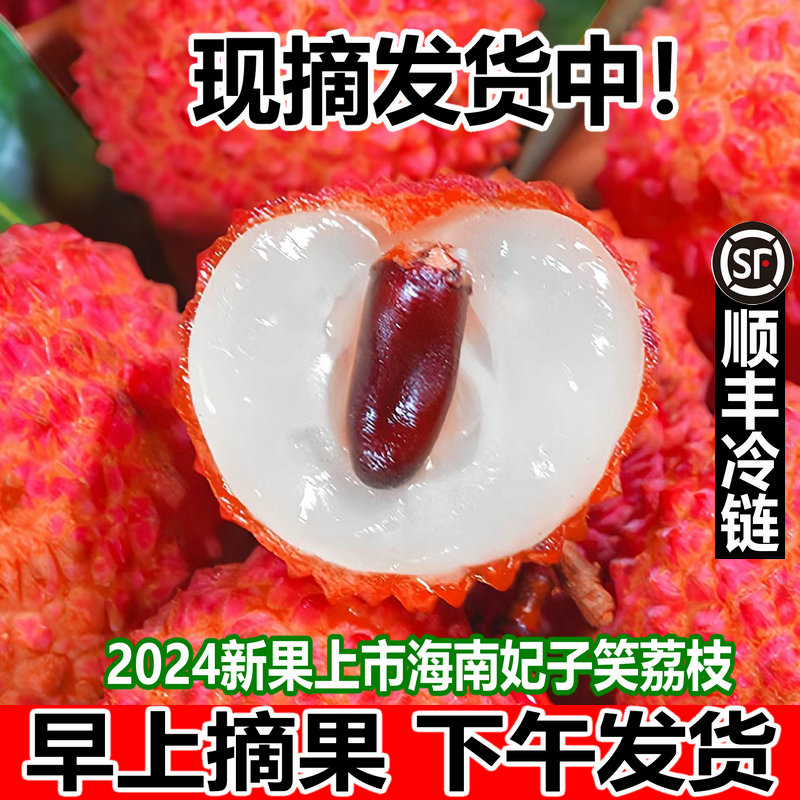 【现货】海南妃子笑荔枝5斤新鲜水果