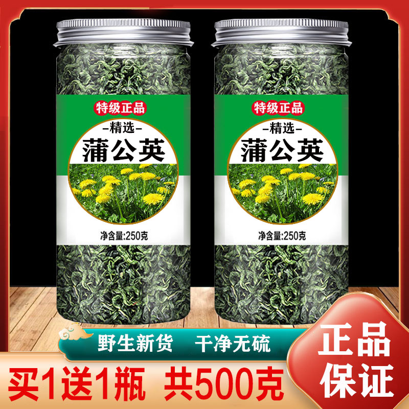 蒲公英散结茶官方旗舰店正品特级浦公