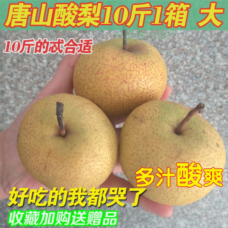 河北唐山特产正宗细皮酸梨安梨新鲜大梨多汁窖藏孕妇烂酸梨冻梨|msdalam kategori daging perikanan/Buah-buahan segar dan sayur-sayuran/dimasak, buah-buahan segar, Pear - dari Buy2taobao.com untuk memberikan perkhidmatan ejen Taobao profesional membeli