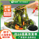 溢源烘干小海带条海带干货120g新鲜干海带丝薄嫩凉拌火锅煲汤食材