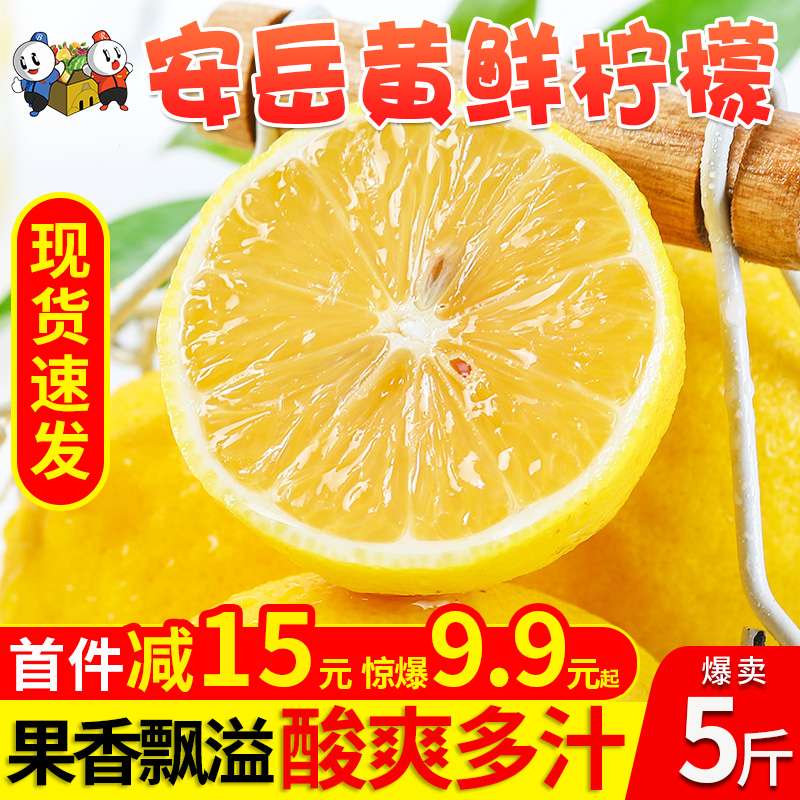 四川安岳黄柠檬新鲜水果整箱包邮精选皮薄香水鲜甜柠檬青特产5斤|ruв категории водной мясо/свежие фрукты и овощи/еда, свежие фрукты, лимон - от Buy2taobao.com для оказания профессиональной услуги покупки агента Taobao