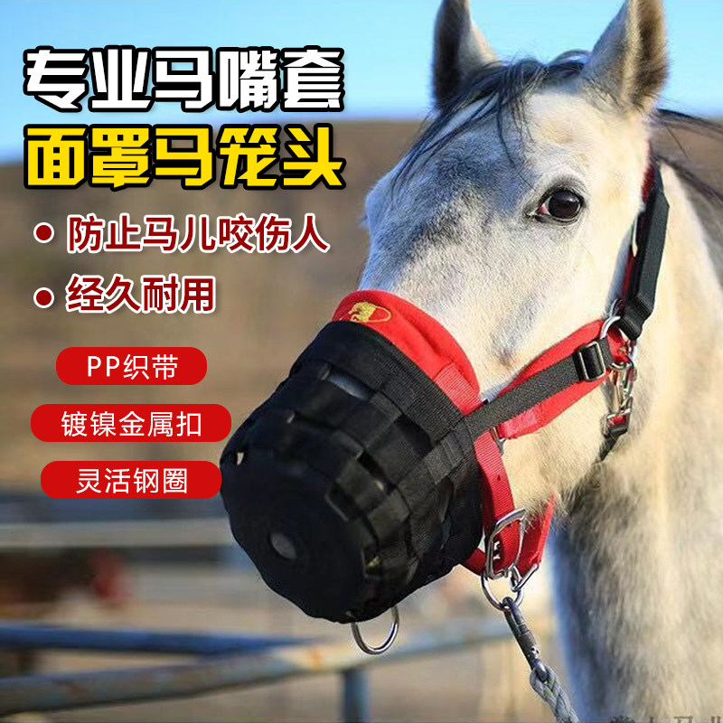 驭琦马术运动生活馆的优惠券大全—马嘴罩马匹用品马面罩嘴套马术用品