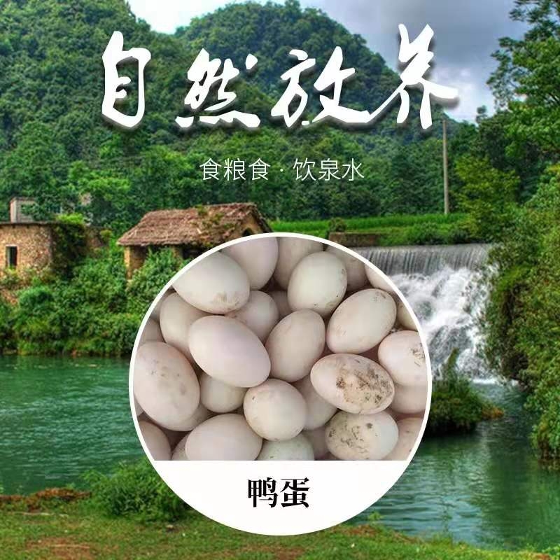 农家生态散养鲜鸭蛋草鸭蛋30枚|ruв категории водной мясо/свежие фрукты и овощи/еда, яйца/яичные продукты, свежие яйца, утка - от Buy2taobao.com для оказания профессиональной услуги покупки агента Taobao
