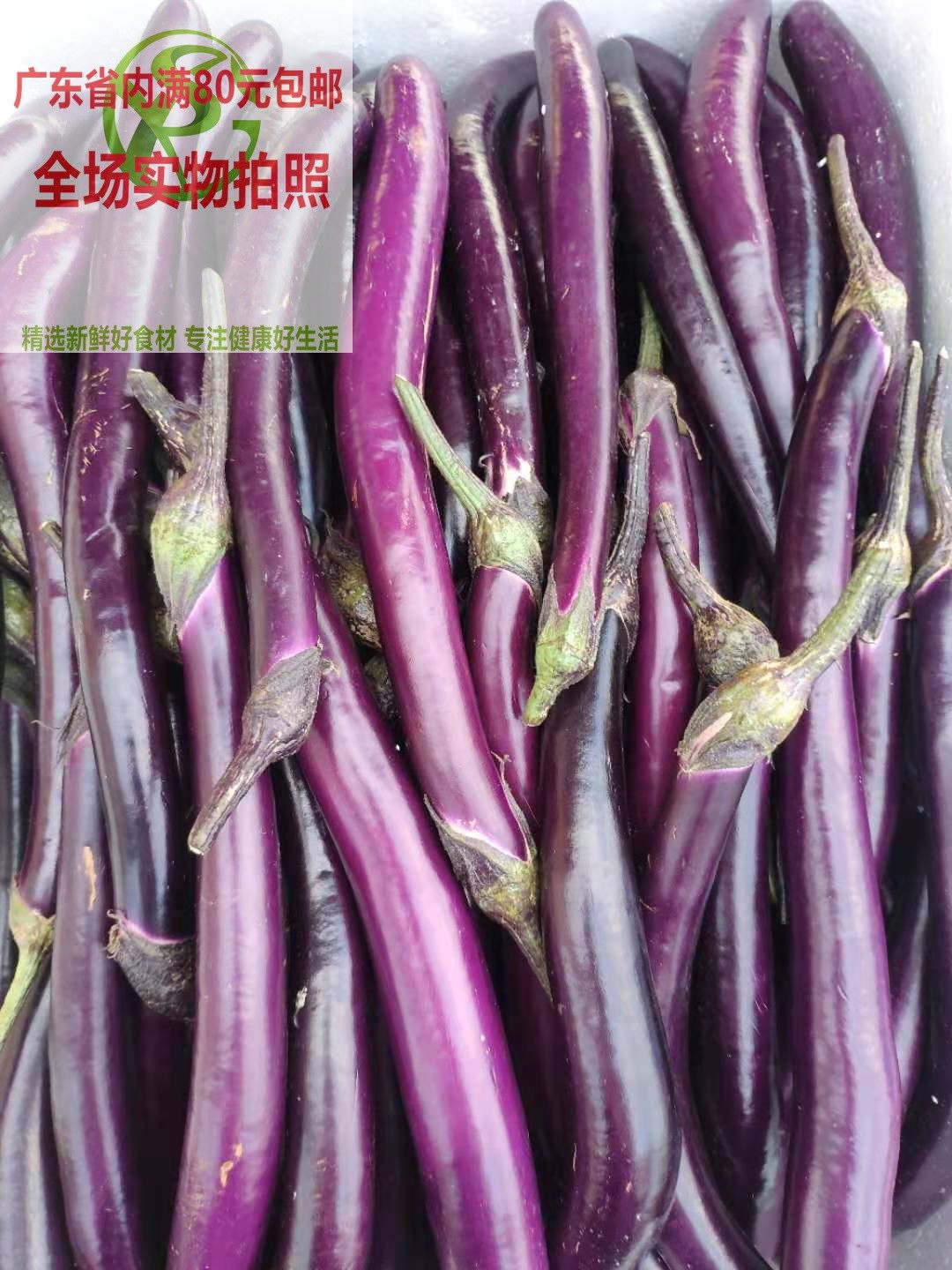 新鲜蔬菜农家菜 时令长线茄子紫茄瓜 紫色茄子 小茄瓜500克