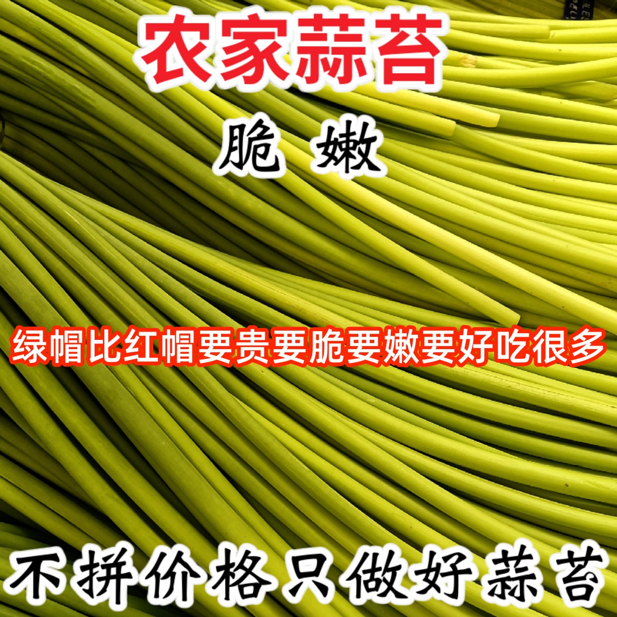 蒜苔新鲜山东寿光农家嫩脆蒜苔红帽绿