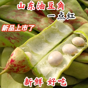 山东油豆角东北油豆角新鲜现摘蔬菜农家特产正宗一点红豆角黑龙江